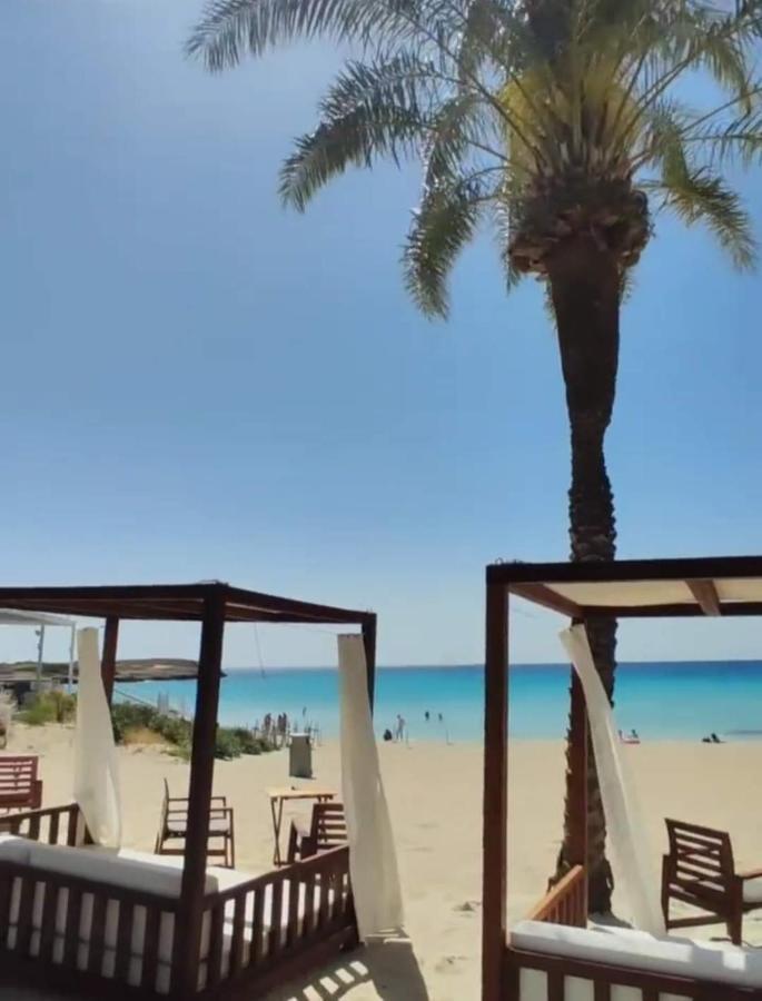 Nissi Golden Sands Sea View 2 Bedroom Apartment Ayia Napa Exterior photo